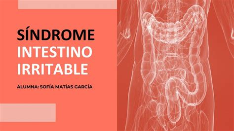 Resúmenes De Síndrome Del Intestino Irritable Descarga Apuntes De