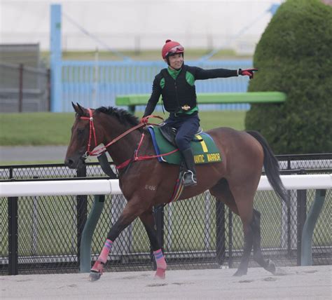 【安田記念】香港の雄ロマンチックウォリアーは前日の日本ダービーの大歓声もどこ吹く風 「全く馬は動じていないようでした」 Umatoku 馬トク