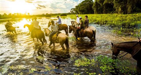 Amazon, Pantanal & Iguazu Falls Tour | SouthAmerica.travel