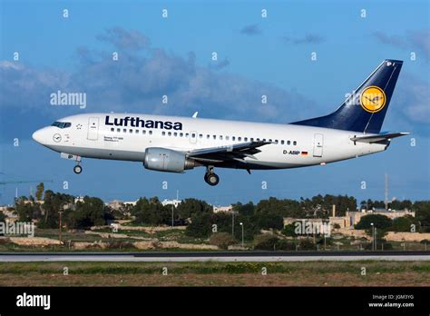 Lufthansa Boeing 737 530 D ABIP Landing Runway 32 In The Warm Light