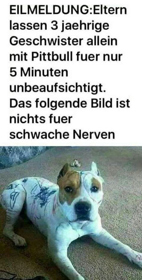 Lustig Ideen Lustig Lustige Bilder Humor Bilder