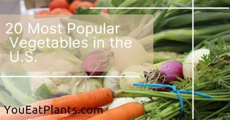 20 Most Popular Vegetables in the World - YouEatPlants.com