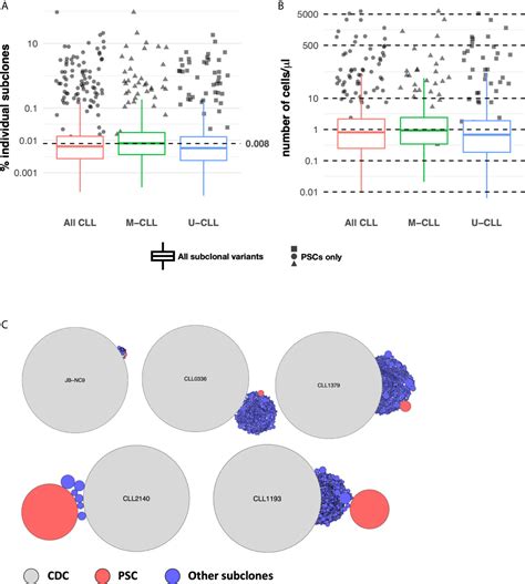 Frontiers Post Transformation Ighv Ighd Ighj Mutations In Chronic Lymphocytic Leukemia B Cells