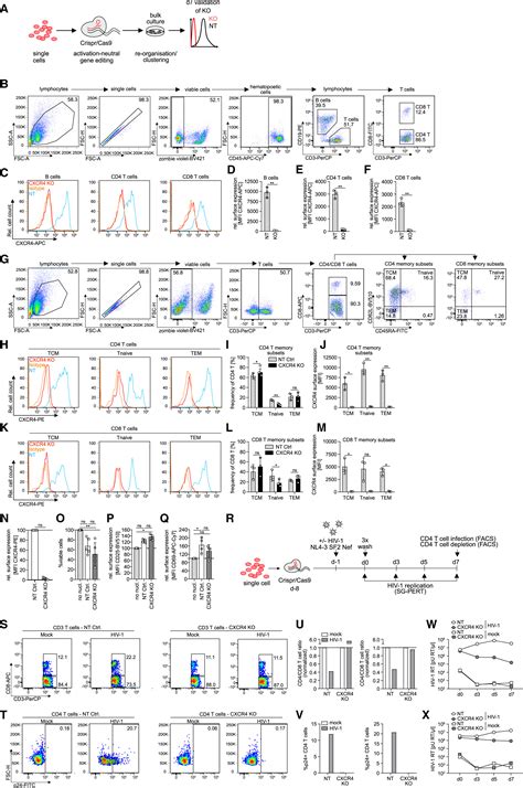 Activation Neutral Gene Editing Of Tonsillar CD4 T Cells For Functional