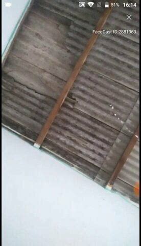 Free Live App Porn Videos XHamster