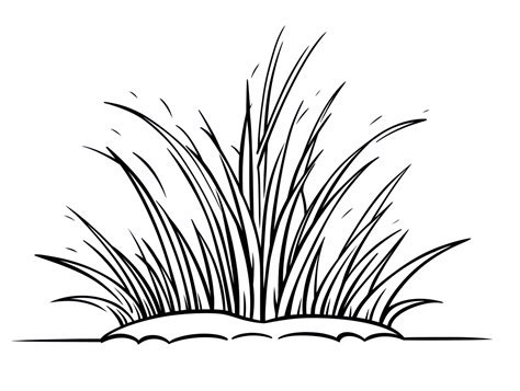 Grass Coloring For Kids Coloring Page