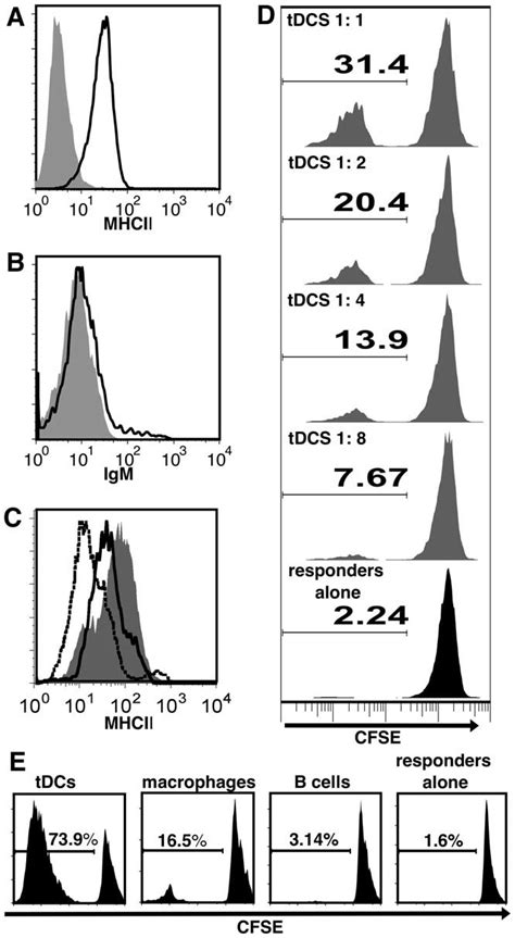 Tdcs Express Mhcii And Stimulate The Mlr More Effectively Than B Cells