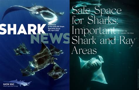 Safe Space For Sharks ISRAs Important Shark Ray Areas