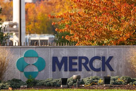 La EMA Respalda El Uso De Emergencia De La Pastilla Anticovid De Merck