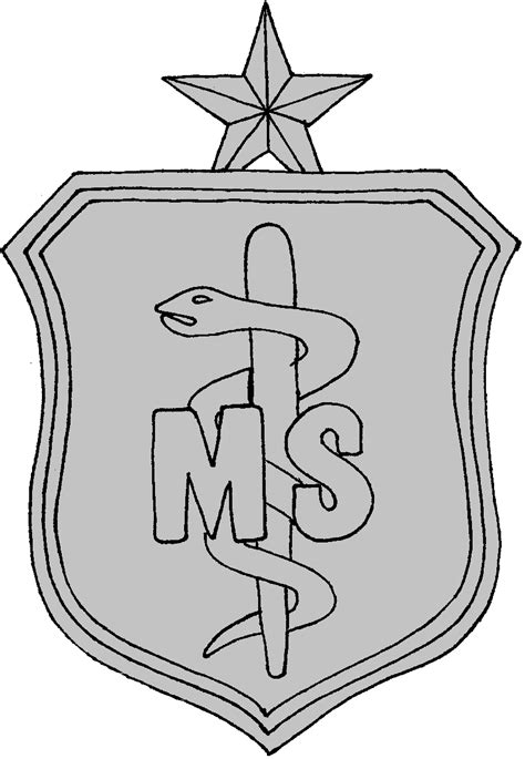 Air Force Medical Services Corps Badge 2