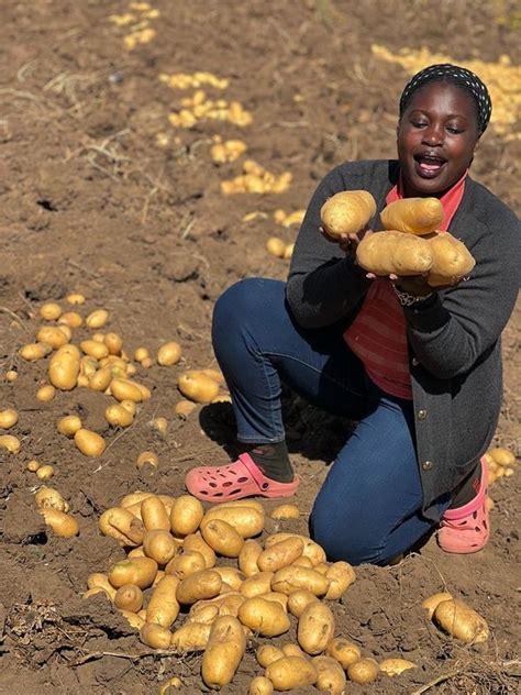 No Small Potatoes Craft And Private Sector Partnerships Mitigate