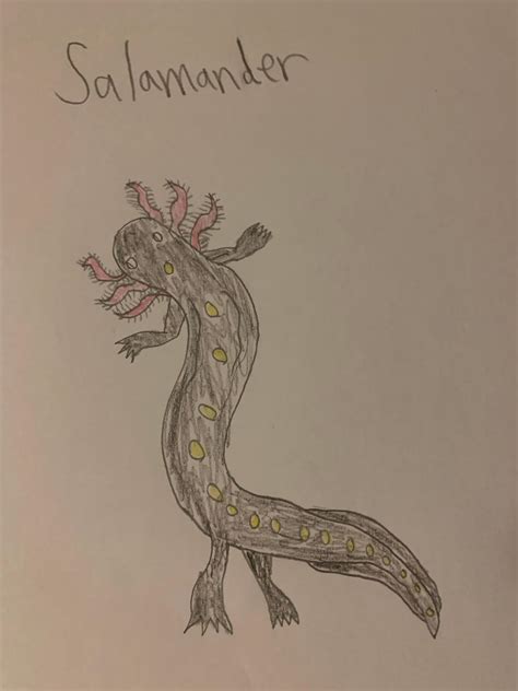 Salamander By Ivanthestonksmaster On Deviantart