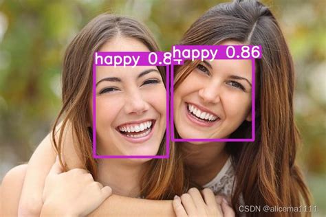 Python Yolov5人脸表情特征识别 yolo人脸情绪识别 CSDN博客