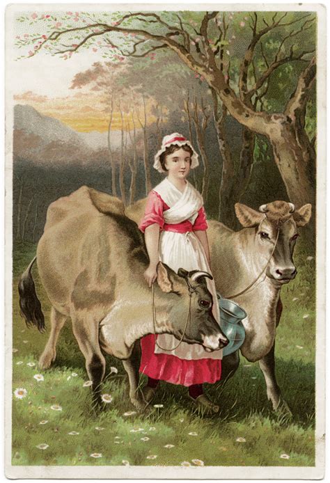 Victorian Trade Card The Jerseys Old Design Shop Blog