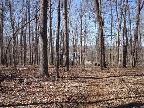 Panther Creek State Park Mountain Bike Trail in Morristown, Tennessee ...