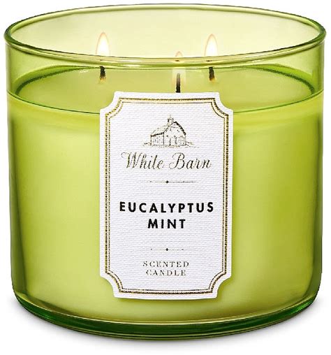 Bath And Body Works Eucalyptus Mint Wick Candle