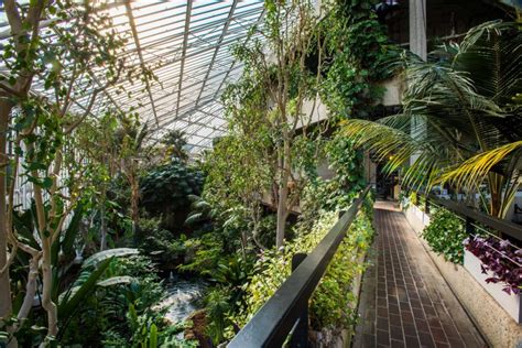 The Barbican Conservatory Is London's Beautiful Indoor Rainforest