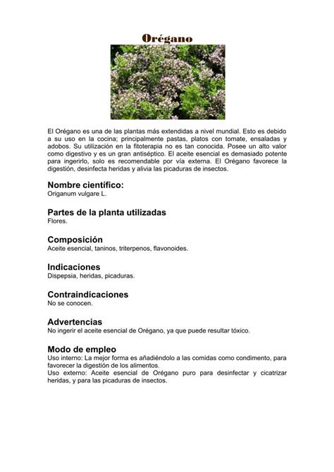 Pdf 12 Plantas Medicinales Dokumentips