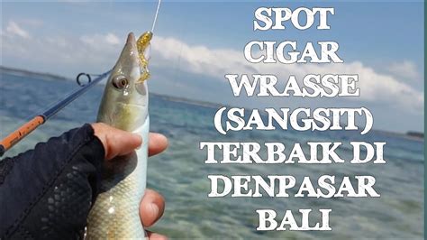 Titik Spot Mancing Ikan Sangsit Di Pantai Sanur Bali Auto Ngomset