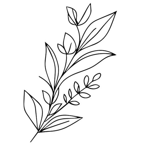 Premium Vector A Line Drawing Of A Plant With Leaves Botanical