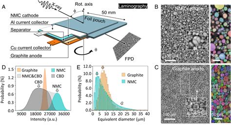 In Situ Visualization Of Multicomponents Coevolution In A Battery Pouch