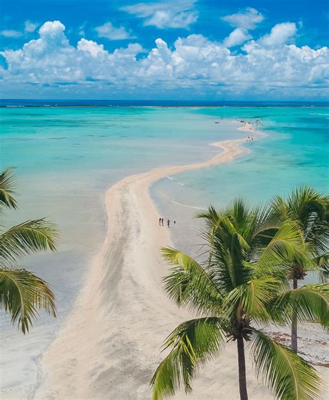 Fotos Das Praias De Maragogi - Alagoas veja 12 fotos das melhores praias de maragogi e entornos – Artofit