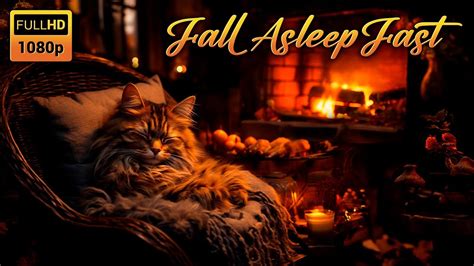 Deep Sleep To Cozy Night Cabin With Purring Cute Cat And Crackling