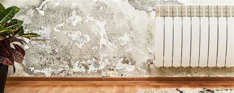 opstijgend vocht bestrijden vochtbestrijding smartdry