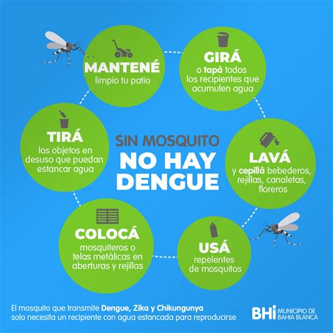 Sugerencias para evitar el Dengue Prensa Bahía