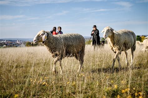 Welche Argumente Daf R Sprechen Im Landkreis Heidenheim Wandern Zu