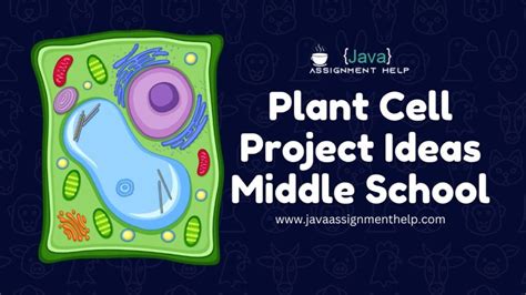 Captivating Plant Cell Project Ideas Middle School