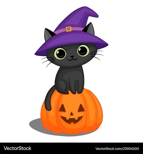 Black Cat In A Witch Hat On Halloween Pumpkin Vector Image