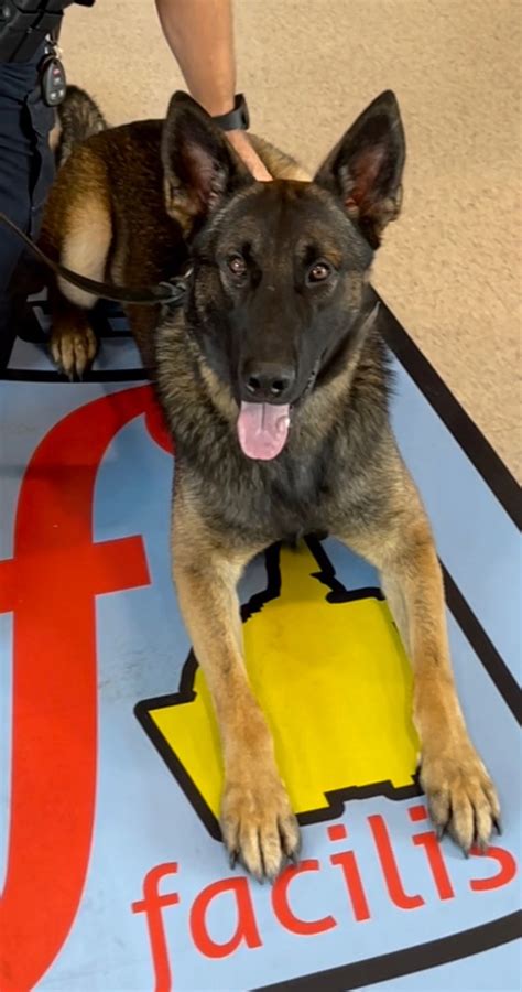 K9 Baro To Receive Donation Of Body Armor Floyd County Police Department