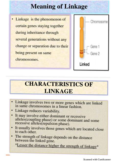 Solution Linkage And Crossing Over With Kinds Full Explained Studypool