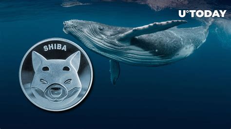 Shiba Inu Whales Accumulate Whopping 100 Billion SHIB Within Days