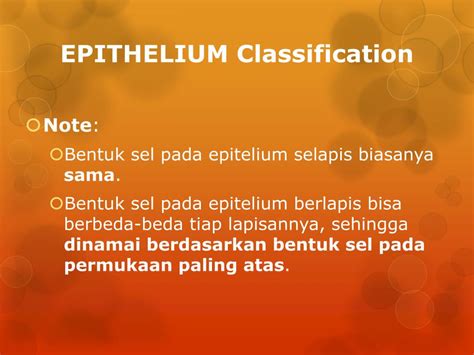 Ppt Animal Tissue Epithelium Powerpoint Presentation Free Download