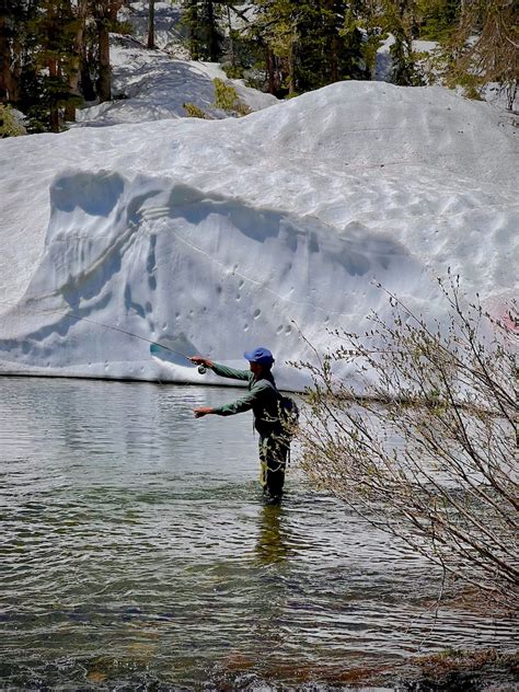 Blue Lake Brookie at 10,000' +... | The North American Fly Fishing ...