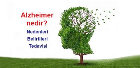 Alzheimer Nedir Nedenleri Belirtileri Tedavisi Ve Korunma