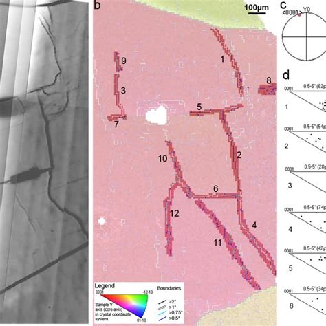 Microstructure Analysis From Neem Sample A Lm Microstructure Map Of