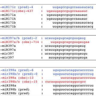 Alignments Of Predicted And Observed Mature Mirna Sequences For Three