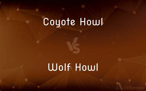 Coyote Howl vs. Wolf Howl — What’s the Difference?