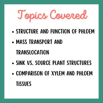 Transport of Assimilates in Plants Google Slides (AICE/AS Cambridge ...