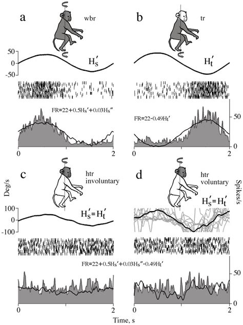 Firing behavior of the neuron responsive to rotations of the whole body ...