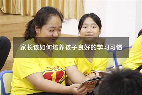 家长该如何培养孩子良好的学习习惯 大黄蜂教育