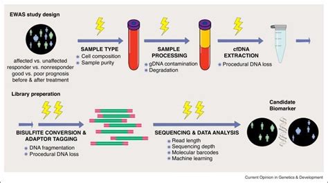 Importance Of Circulating Cell Free Tumor Dna Ctdna In Liquid