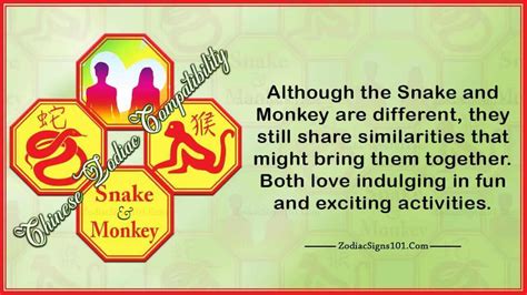 Snake Monkey Compatibility: Too Different to be Happy - ZodiacSigns101