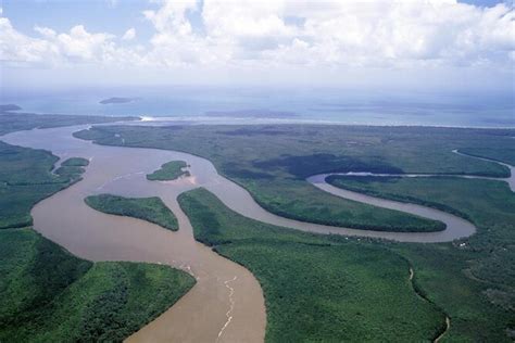 Daintree Rainforest Port Douglas Tickets Tours