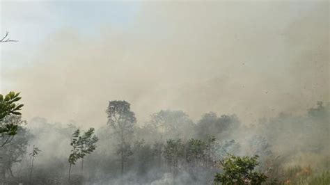 Karhutla Di Banjarbaru Sebabkan Kabut Asap Warga Diimbau Pakai Masker