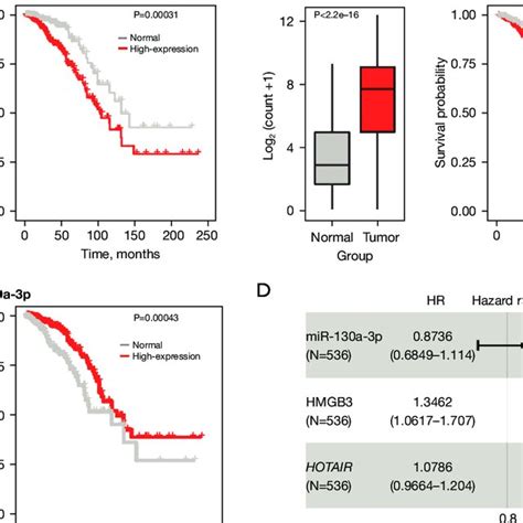 Construction Of A Prognostic Risk Model By Means Of Multivariable Cox