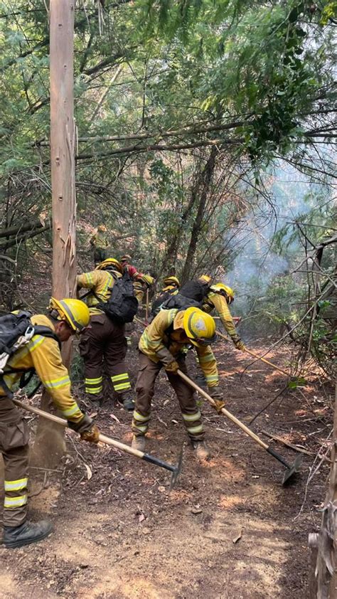 Conaf Corporaci N Nacional Forestal On Twitter M S De Brigadas